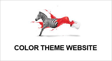color theme website